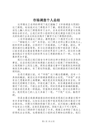 2024年市场调查个人总结