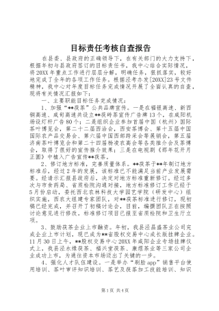 2024年目标责任考核自查报告