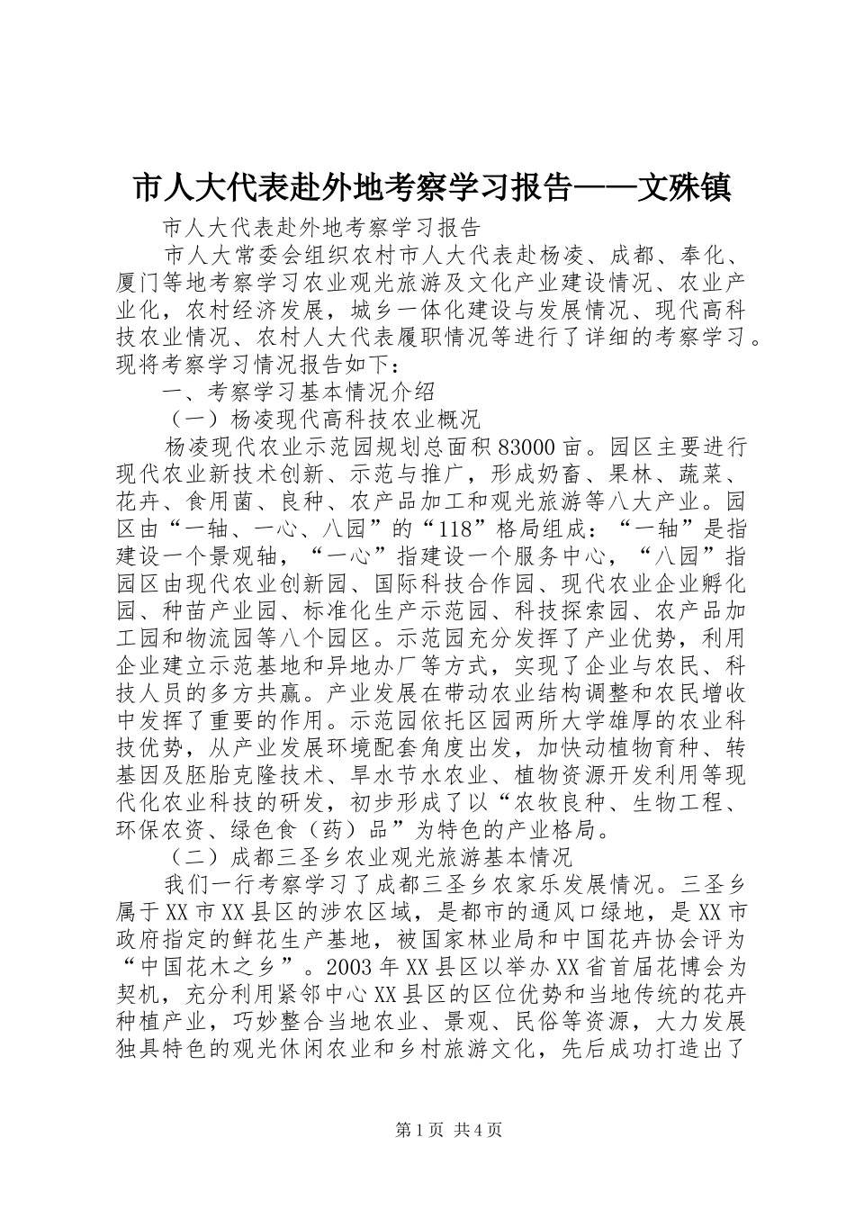 2024年市人大代表赴外地考察学习报告文殊镇_第1页