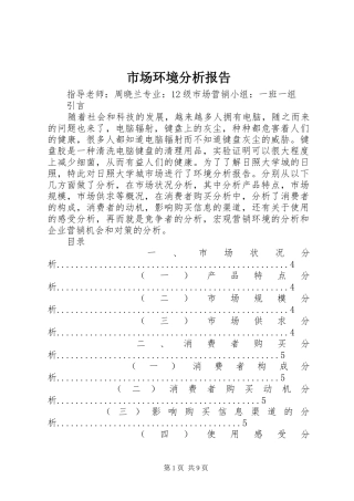 2024年市场环境分析报告