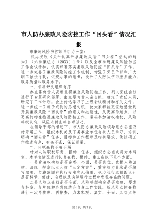 2024年市人防办廉政风险防控工作回头看情况汇报