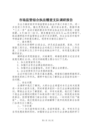 2024年市场监管综合执法稽查支队调研报告