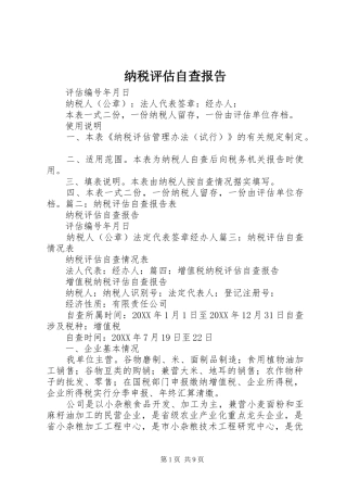 2024年纳税评估自查报告