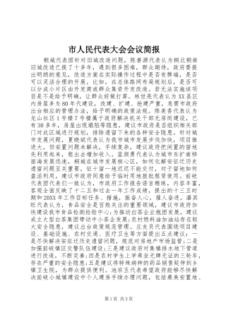 2024年市人民代表大会会议简报