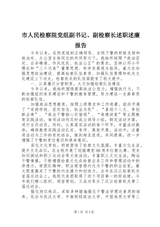 2024年市人民检察院党组副书记副检察长述职述廉报告