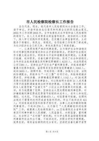 2024年市人民检察院检察长工作报告