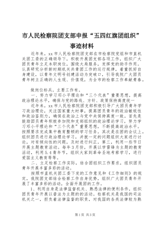 2024年市人民检察院团支部申报五四红旗团组织事迹材料