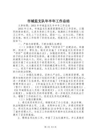 2024年市城监支队年半年工作总结