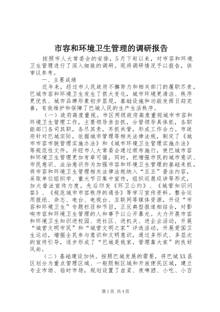 2024年市容和环境卫生管理的调研报告