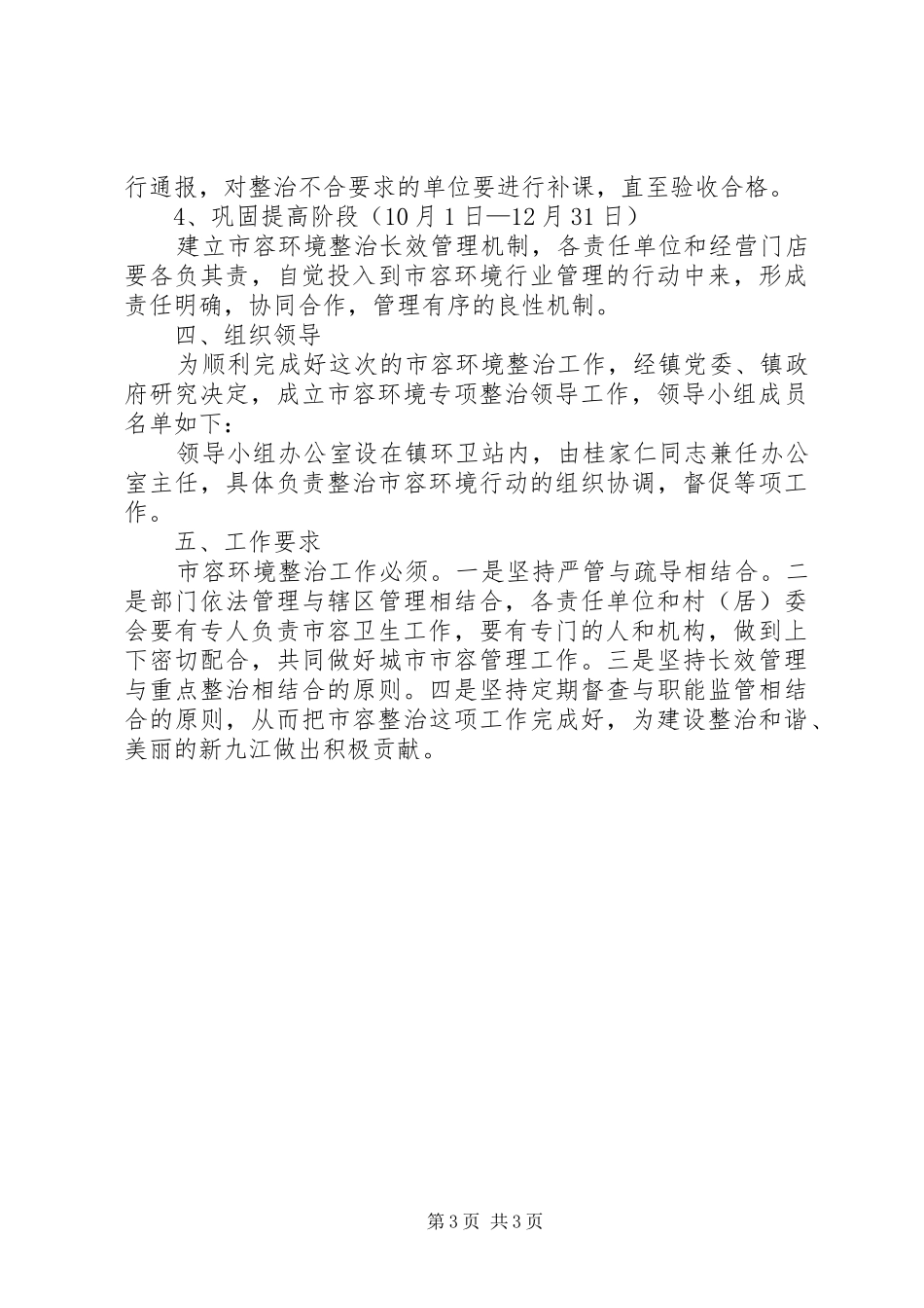 2024年市容环境集中整治方案_第3页
