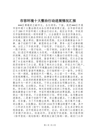 2024年市容环境十大整治行动进展情况汇报
