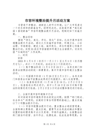 2024年市容环境整治提升月活动方案