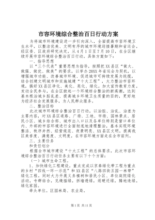2024年市容环境综合整治百日行动方案