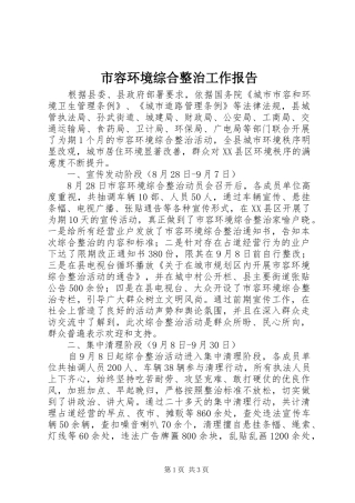 2024年市容环境综合整治工作报告