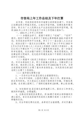 2024年市容局上年工作总结及下年打算