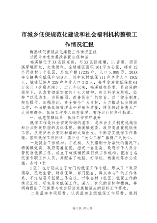 2024年市城乡低保规范化建设和社会福利机构整顿工作情况汇报