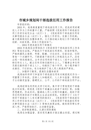 2024年市城乡规划局干部选拔任用工作报告