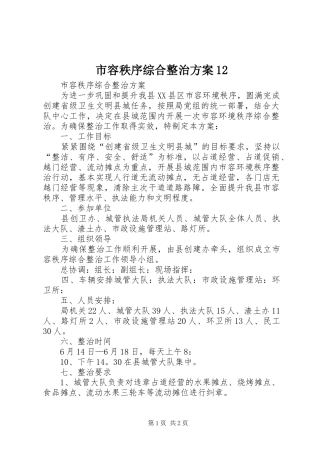 2024年市容秩序综合整治方案