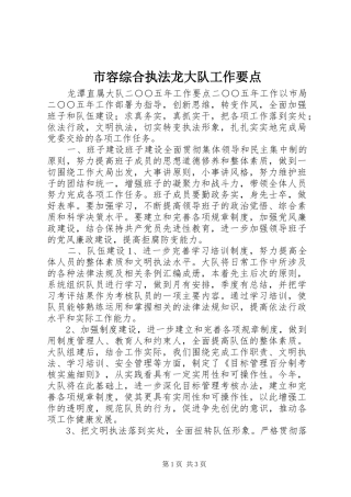 2024年市容综合执法龙大队工作要点