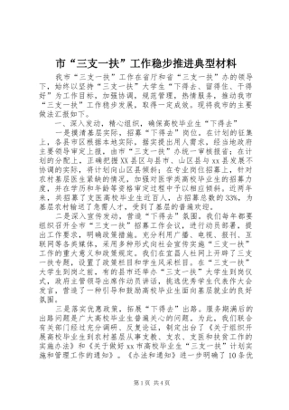 2024年市三支一扶工作稳步推进典型材料