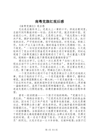 2024年南粤党旗红观后感