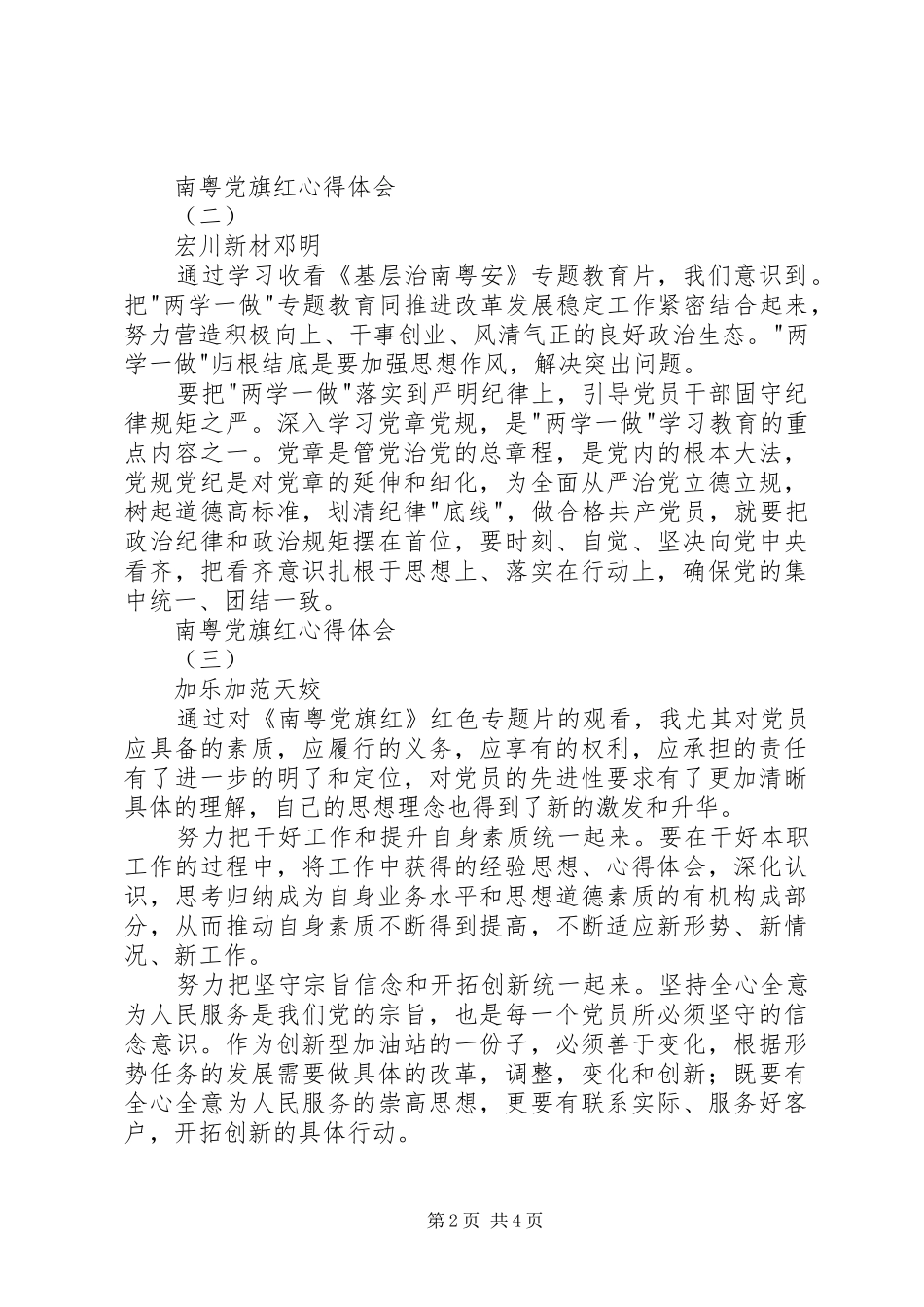 2024年南粤党旗红心得体会_第2页