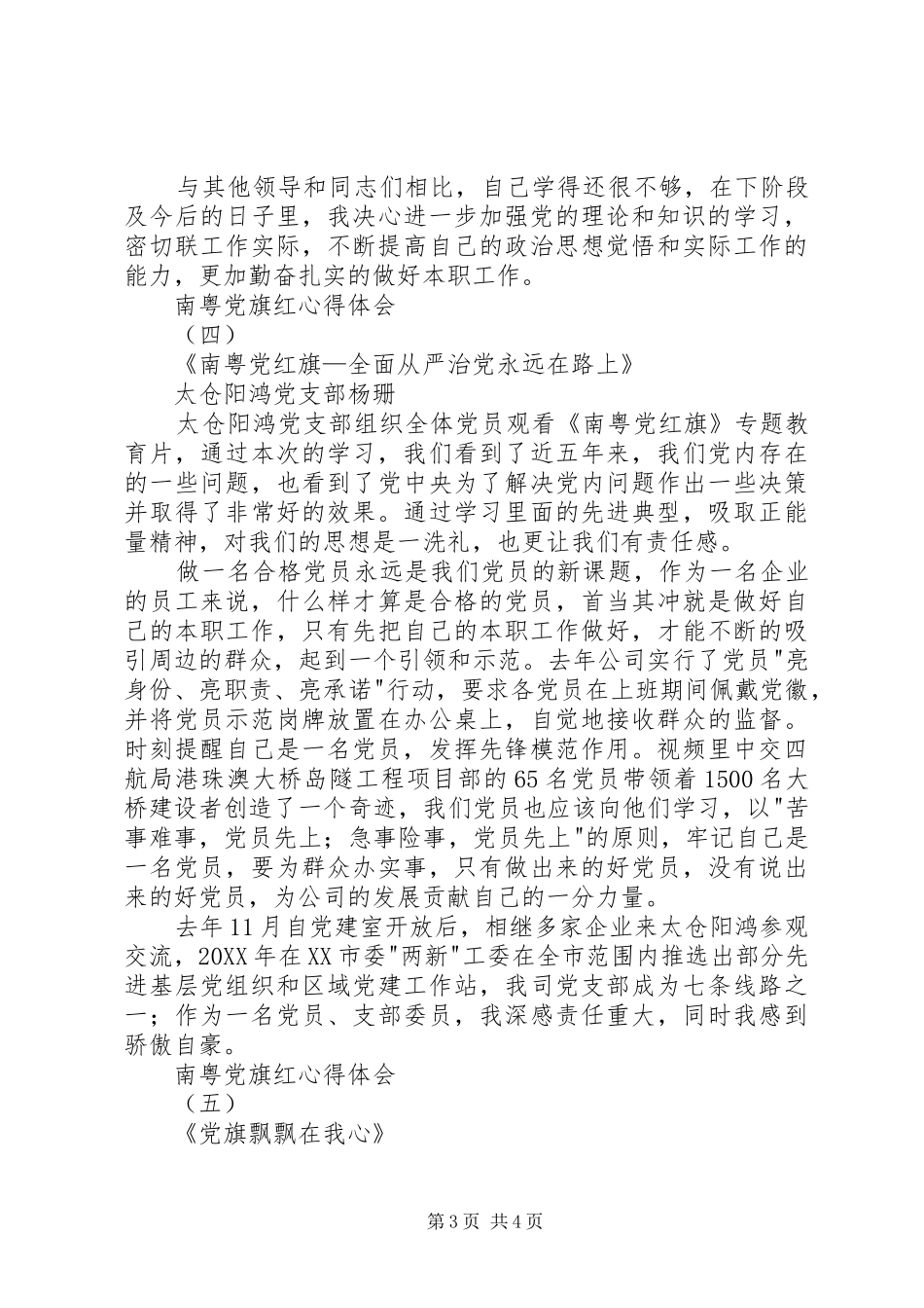 2024年南粤党旗红心得体会_第3页