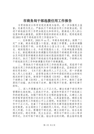 2024年市商务局干部选拨任用工作报告
