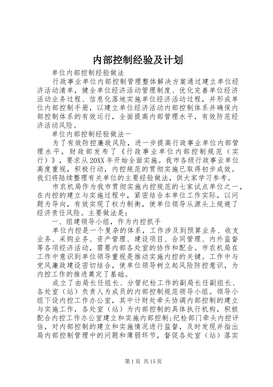 2024年内部控制经验及计划_第1页