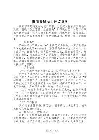 2024年市商务局民主评议意见