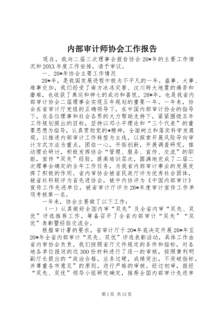 2024年内部审计师协会工作报告