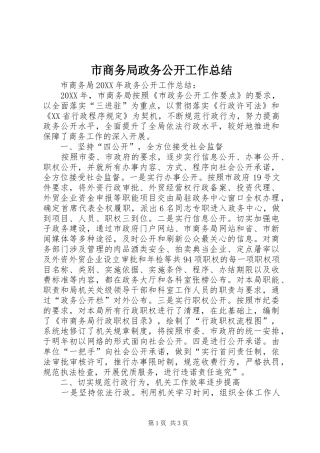 2024年市商务局政务公开工作总结