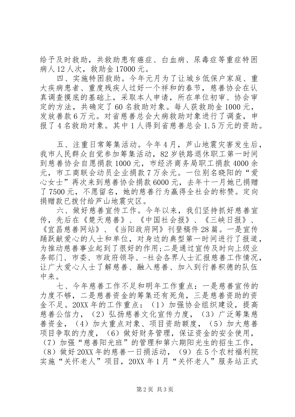 2024年市慈善协会工作总结_第2页