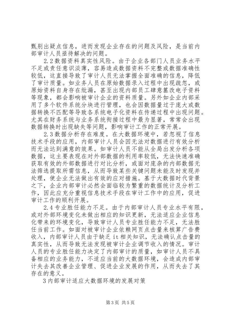 2024年内部审计适应大数据环境发展对策_第3页