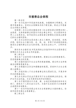 2024年市慈善总会章程