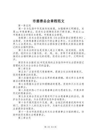 2024年市慈善总会章程范文