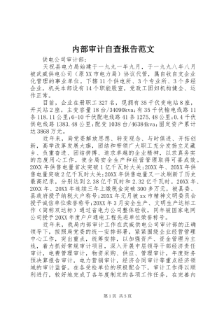 2024年内部审计自查报告范文