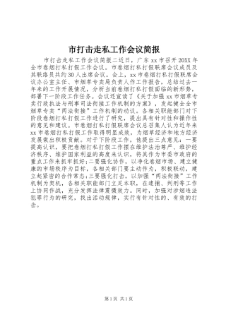 2024年市打击走私工作会议简报