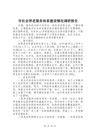 2024年市社会养老服务体系建设情况调研报告