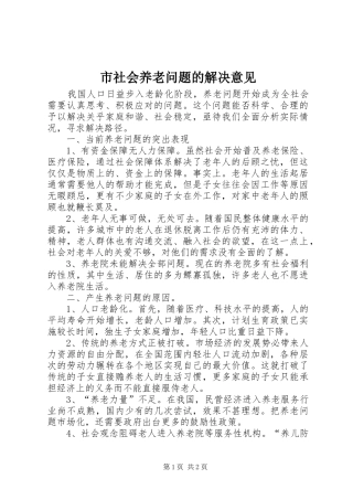 2024年市社会养老问题的解决意见