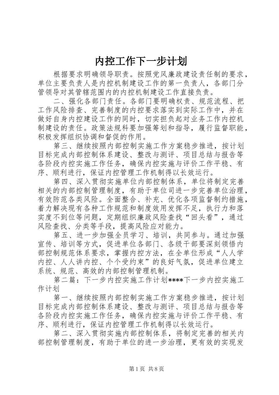 2024年内控工作下一步计划_第1页