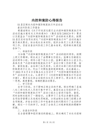 2024年内控和案防心得报告