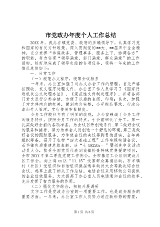 2024年市党政办年度个人工作总结