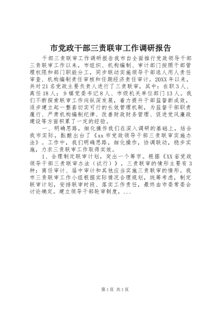 2024年市党政干部三责联审工作调研报告