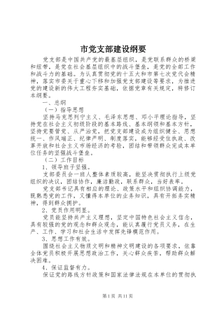 2024年市党支部建设纲要