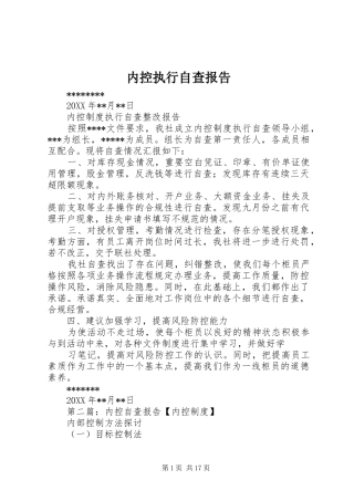 2024年内控执行自查报告