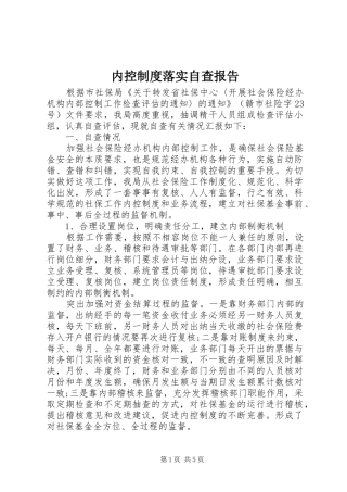 2024年内控制度落实自查报告