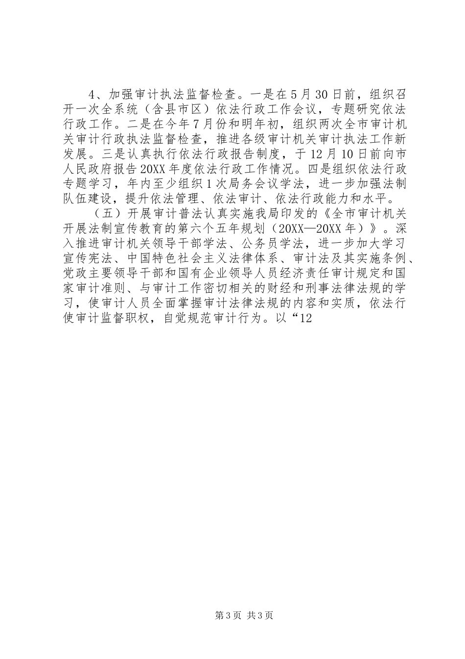 2024年市审计机关依法行政工作计划_第3页