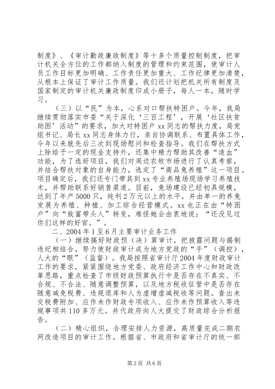 2024年市审计局半年工作总结_第2页