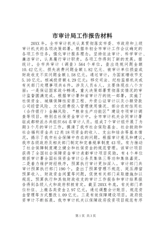 2024年市审计局工作报告材料